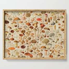 Vintage Mushroom Designs Collection Serving Tray