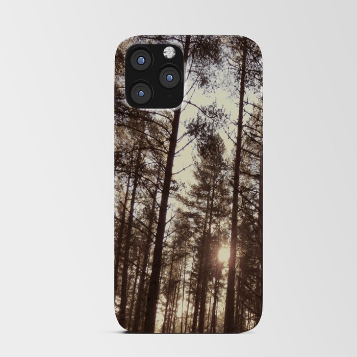 Pine Tree Canopy with Winter Sun in Old  iPhone Card Case