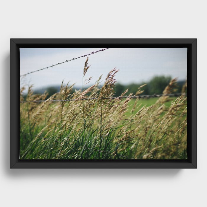 South Dakota Field Framed Canvas