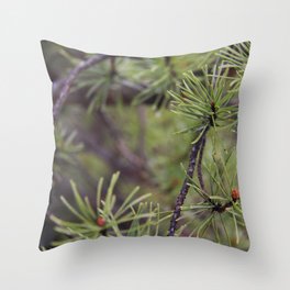 Dewy Pine Throw Pillow