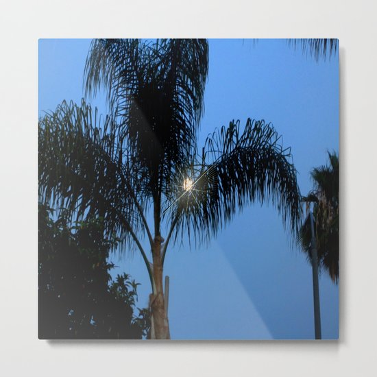 Moonlight through the Palms, Southern California Metal Print