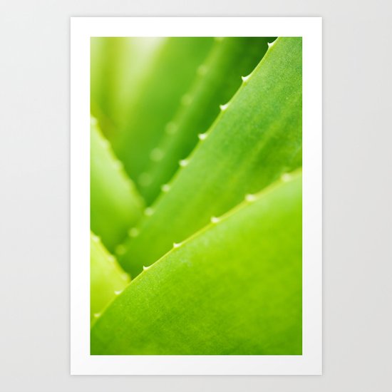 Succulent Art Print