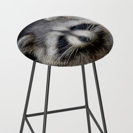 Spiked Raccoon in Black and White Bar Stool
