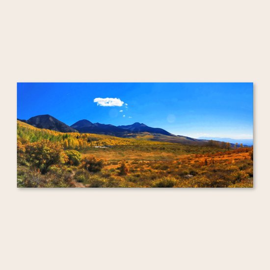 Colors Canvas Print