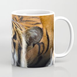 Tiger, Tiger Fast Asleep Coffee Mug