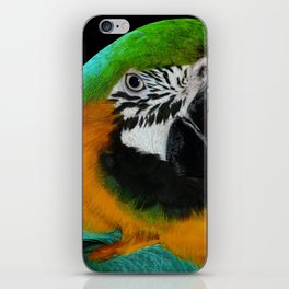 The Parrot, Photography Design, Nature, Wildlife iPhone Skin