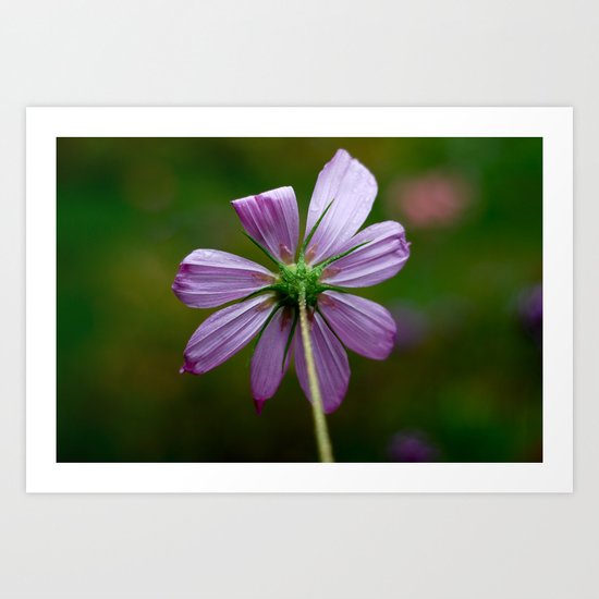 Stop and Simply Be Art Print