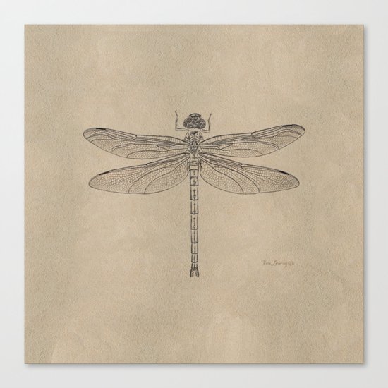 Dragonfly Fossil Dos Canvas Print