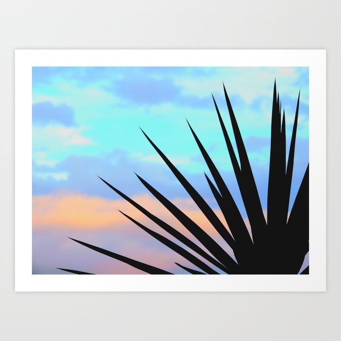 sunset behind the yucca Art Print