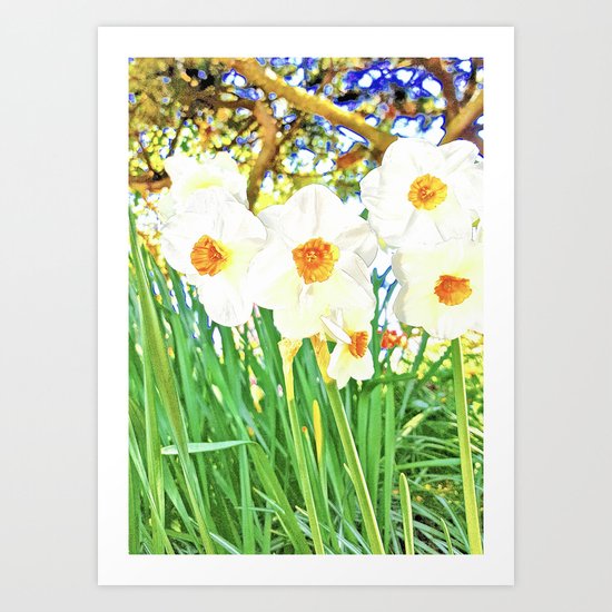 Bright Spring Narcissus Art Print