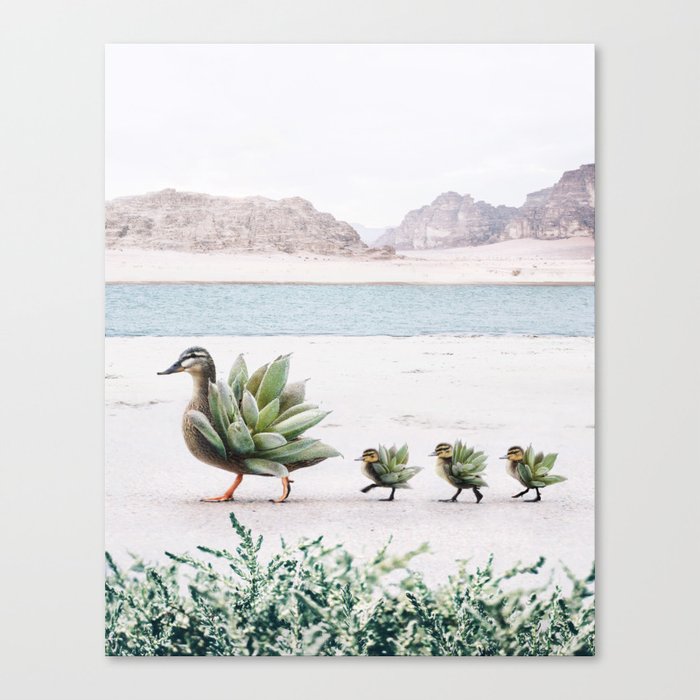 Still Growing Canvas Print