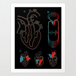 Paul Sougy: The Human Heart, 1950s (proceeds benefit The Nature Conservancy) Art Print