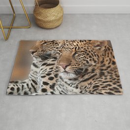 South Africa Photography - Two Beautiful Leopards Rug