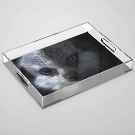 Meerkat portrait Acrylic Tray
