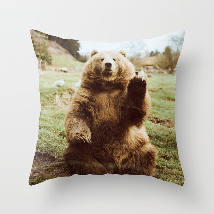 Throw Pillow
