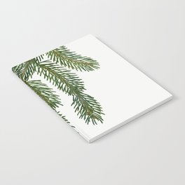 Norway spruce, Abies vulgaris from Traité des Arbres et Arbustes que l’on cultive en France en pleine terre (1801–1819)  Notebook