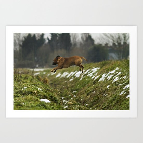 Super Dog Art Print