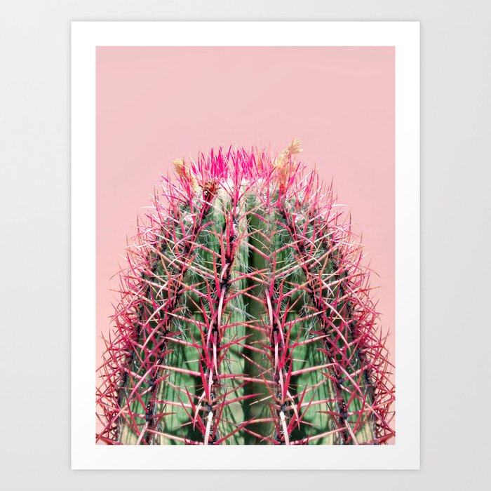 Sweet Pink Cactus Art Print