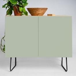 Soft Pastel Sage Green Gray Solid Color Pairs To Behr's 2021 Trending Color Jojoba N390-3 Credenza
