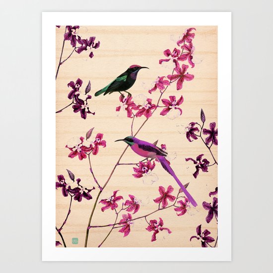 Birds and orchids Art Print