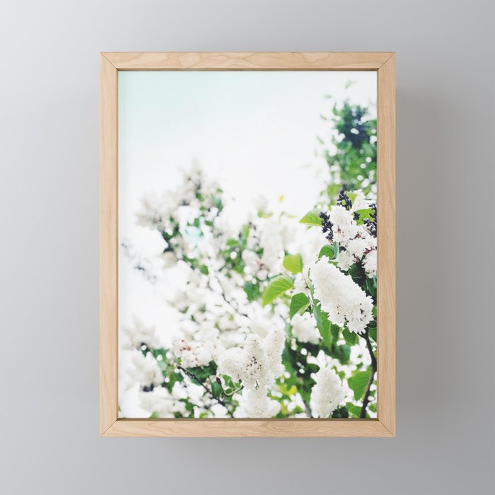spring air Framed Mini Art Print