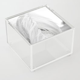 Dappled White Acrylic Box