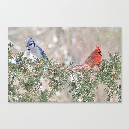 You Stay on Your Side and... Canvas Print