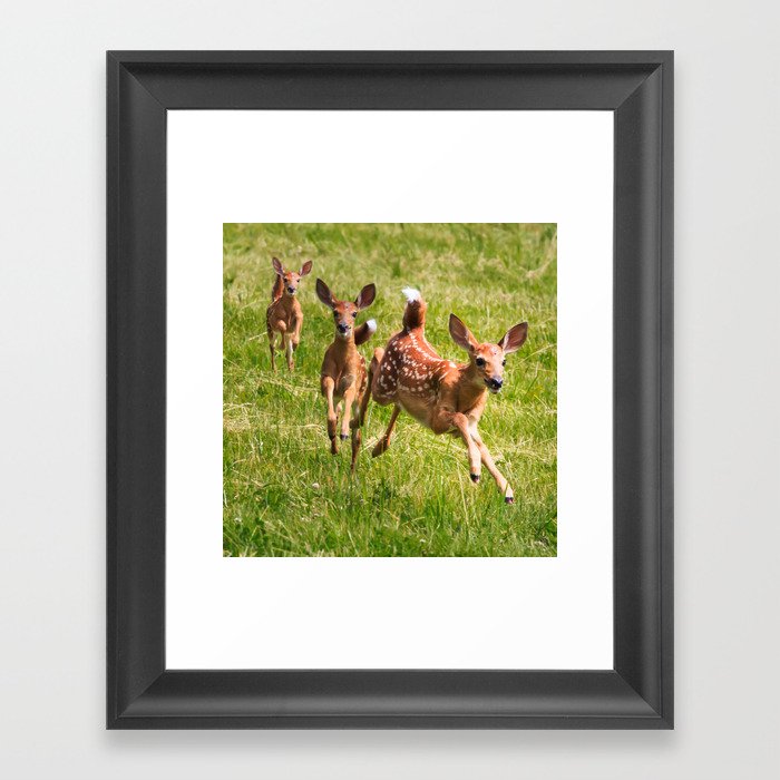Running Deer Framed Art Print