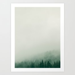 Foggy Forest - Trees Photography No. 3 Art Print