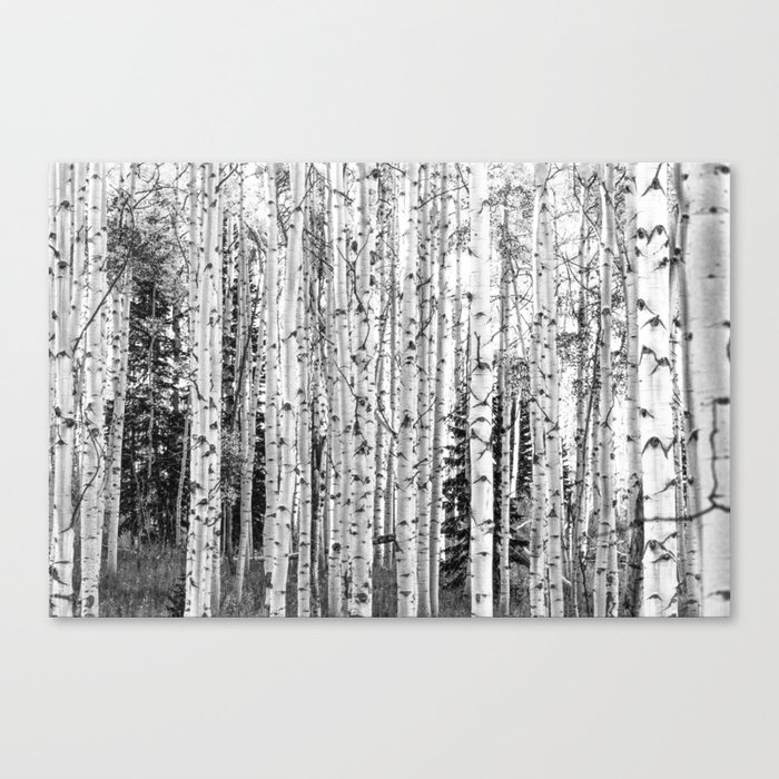 Forest In Black White Canvas Print By Theblondedutchgirl Society6