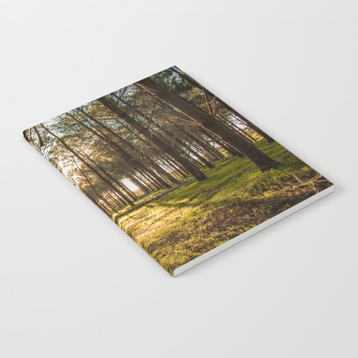 Sunset in the Pines Notebook