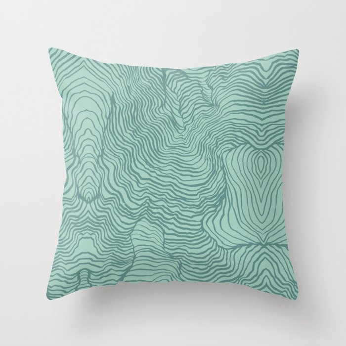 mint green throw pillow covers