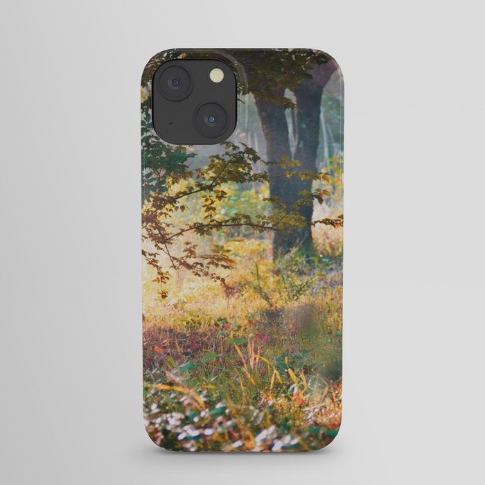 Autumn Mood iPhone Case