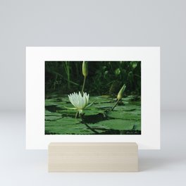 Nature Mini Art Print