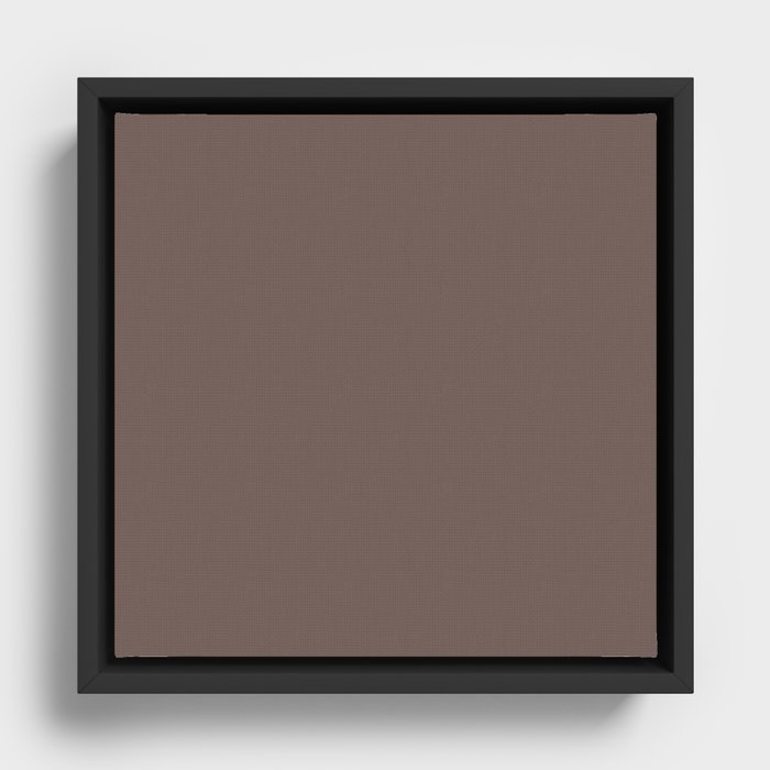 Raccoon Tail Brown Framed Canvas