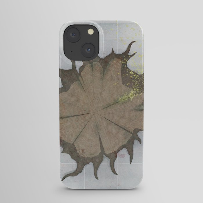 The Wheel of Fortune iPhone Case