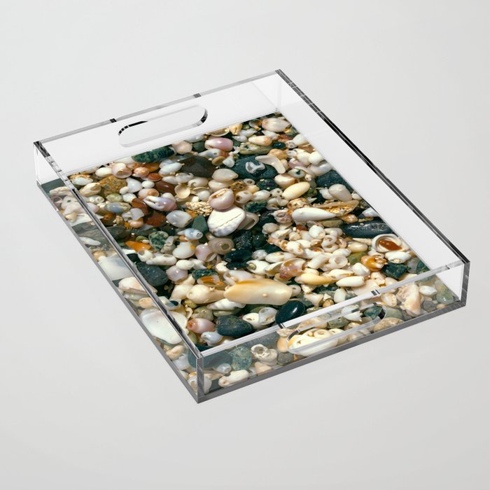 Coastal Treasures: Golden Beach Sea Shell Macro Acrylic Tray