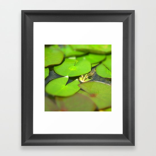 green frog I Framed Art Print