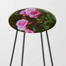 Pink wild roses under the rain | Spring aesthetic  Counter Stool