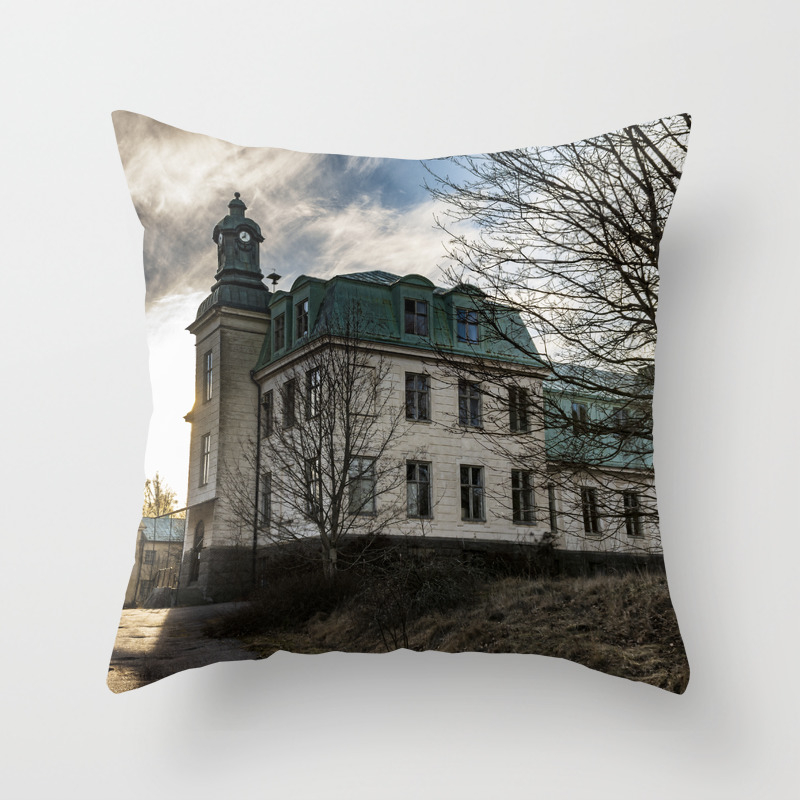 The Mental Hospital Throw Pillow By Jockelind Society6