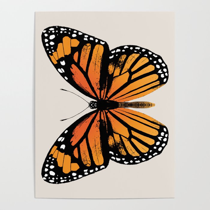 Monarch Butterfly | Vintage Butterfly | Poster | Graphic-design, Monarch-butterfly, Monarch-butterflies, Butter-fly, Butterfly-wings, Butterflies, Orange-and-black, Black-and-orange, Garden-insects, Nature