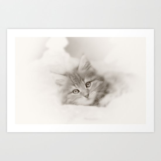 CAT Art Print
