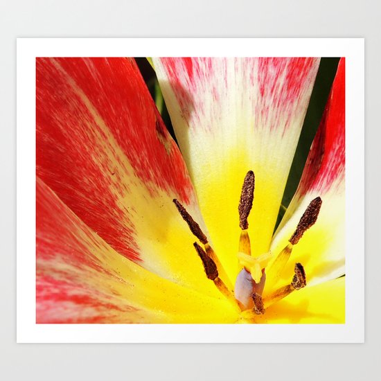 Red & Yellow Art Print