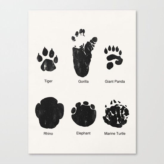 Animal Track Canvas Print