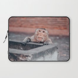 Street monkey | Thailand | Lopburi | Nature Laptop Sleeve