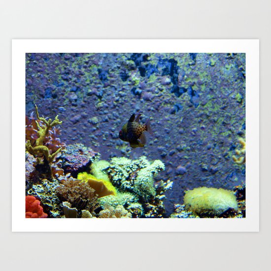 Beautifully Ugly Brown Fish Art Print