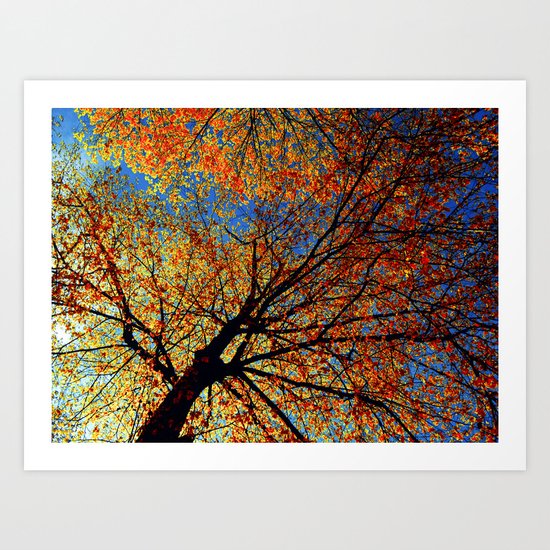 Mother Nature Art Print