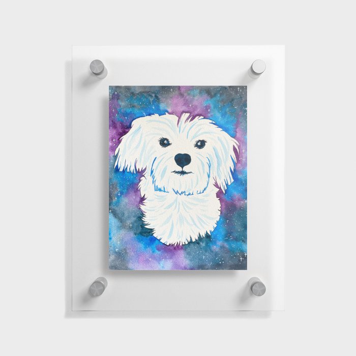 Galaxy Maltese Dog Floating Acrylic Print