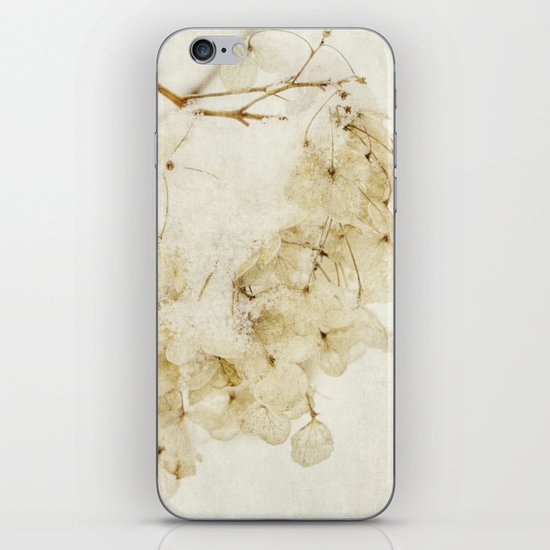 after the snow iPhone & iPod Skin