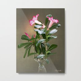 Spade's Desert Rose Metal Print | Painting, Garden, Floral, Blossoms, Digital, Digitalart, Succulent, Botanical, Flower, Digitalpainting 